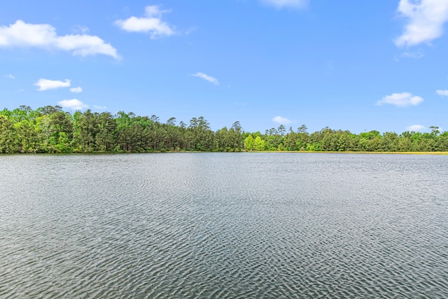 6811 S Trace Dr, Magnolia, TX 77354 - property view of water featuring a view of trees