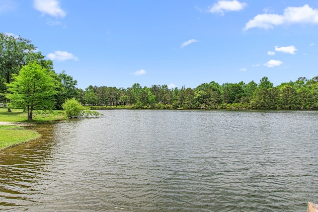 6811 S Trace Dr, Magnolia, TX 77354 - water view featuring a forest view