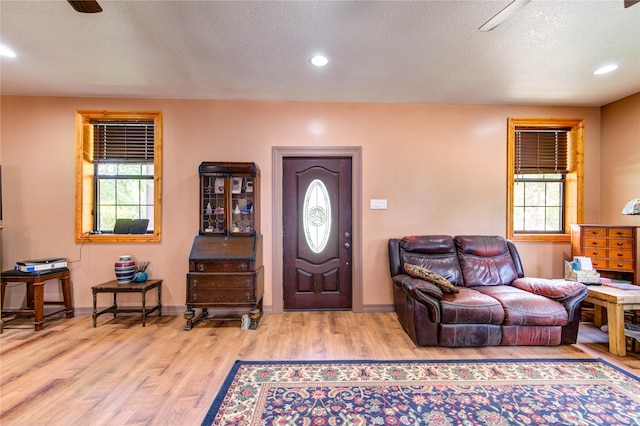 120 Rebecca St, Houston, TX 77022 - entrance foyer with wood finished floors, plenty of natural light, recessed lighting, a textured ceiling, and baseboards