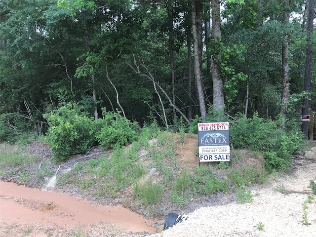 418 Portico, Livingston, TX 77351 - photo 7