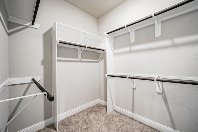 walk in closet featuring light colored carpet