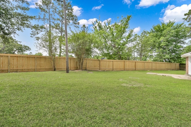 22603 Pebworth Pl, Spring, TX 77373 - view of yard