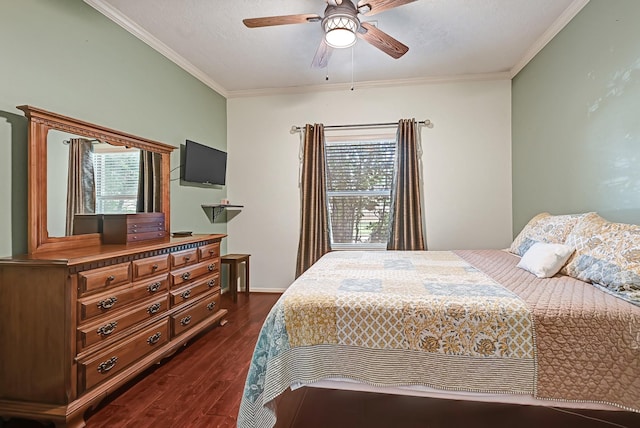 7551 Basswood Forest Ct, Houston, TX 77095 - bedroom featuring dark wood-type flooring, ornamental molding, and ceiling fan