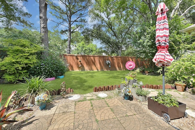 7551 Basswood Forest Ct, Houston, TX 77095 - view of patio