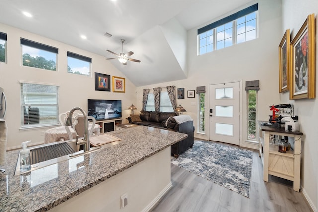 257 N Lynx Trl, Montgomery, TX 77316 - living room featuring plenty of natural light, light wood-style flooring, and ceiling fan