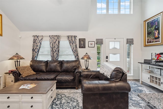 257 N Lynx Trl, Montgomery, TX 77316 - living room featuring light wood-type flooring and high vaulted ceiling