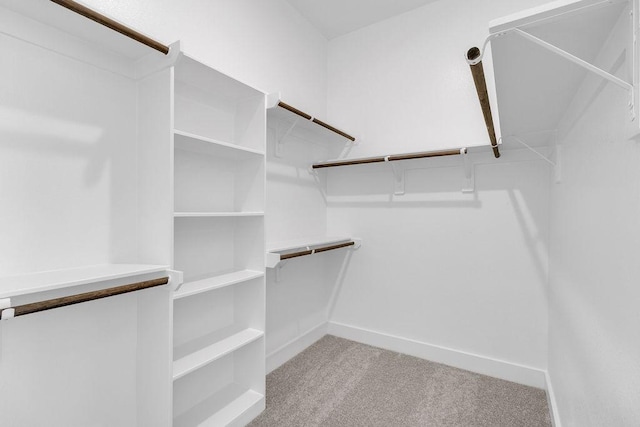 8114 Red Shiner Way, Fulshear, TX 77441 - walk in closet featuring carpet floors