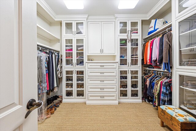 walk in closet with carpet floors