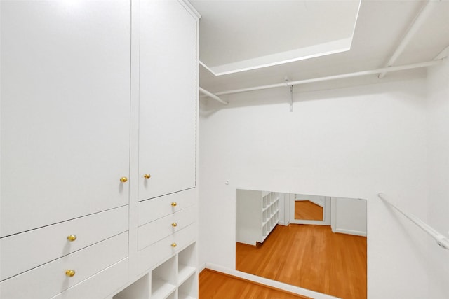 spacious closet featuring wood finished floors
