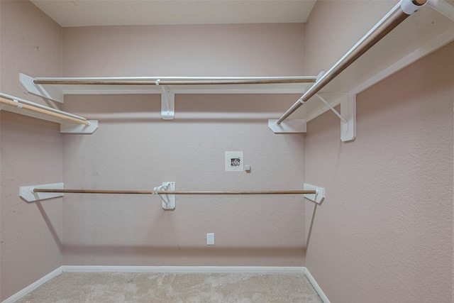 3603 Canvasback Ln, Houston, TX 77047 - spacious closet featuring carpet floors