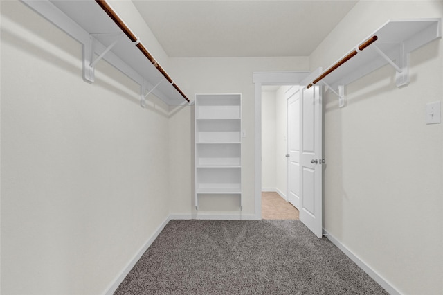 walk in closet with carpet flooring