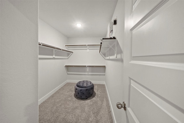 walk in closet featuring carpet