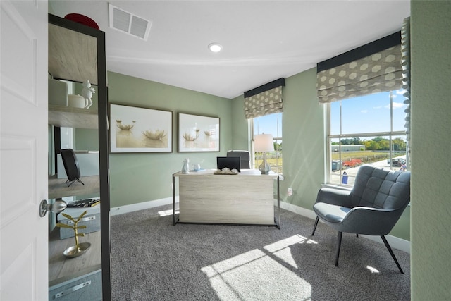 office space featuring carpet floors, baseboards, and visible vents