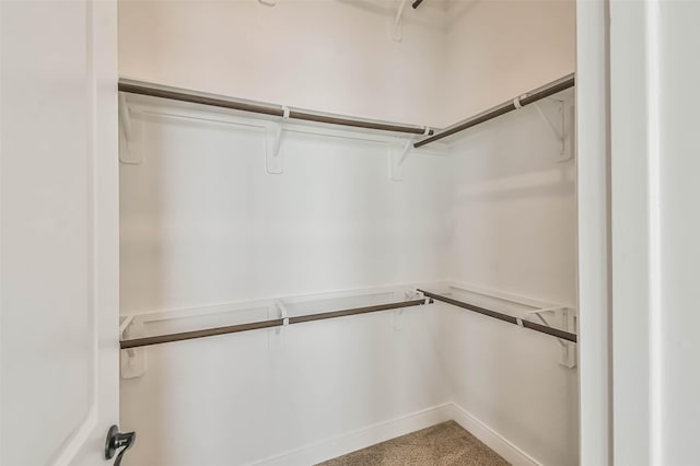 11131 Heartleaf Aster Way, Cypress, TX 77433 - spacious closet with carpet