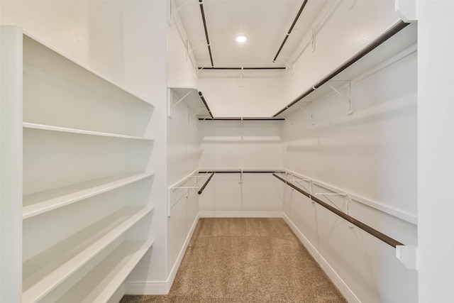 11131 Heartleaf Aster Way, Cypress, TX 77433 - walk in closet with light colored carpet