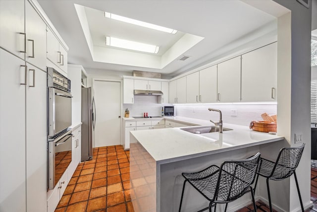 167 Litchfield Ln, Houston, TX 77024 - kitchen with a sink, a peninsula, under cabinet range hood, a raised ceiling, and appliances with stainless steel finishes