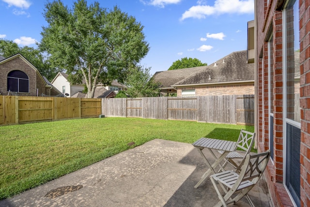 view of yard featuring a patio area
