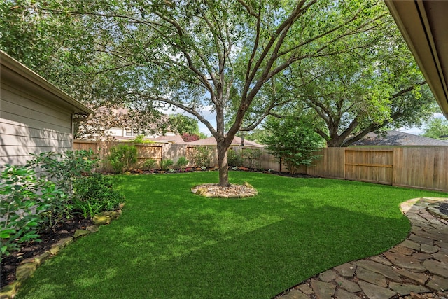 7219 Palisades Heights Dr, Houston, TX 77095 - view of yard