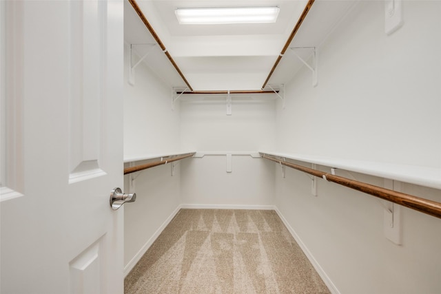 2827 Briarhurst Park, Houston, TX 77057 - spacious closet with light carpet