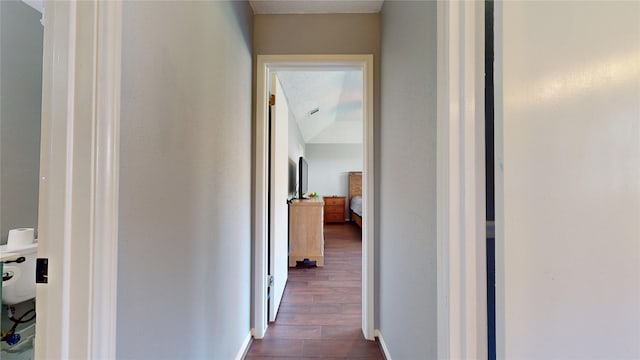 hallway with dark wood-style floors