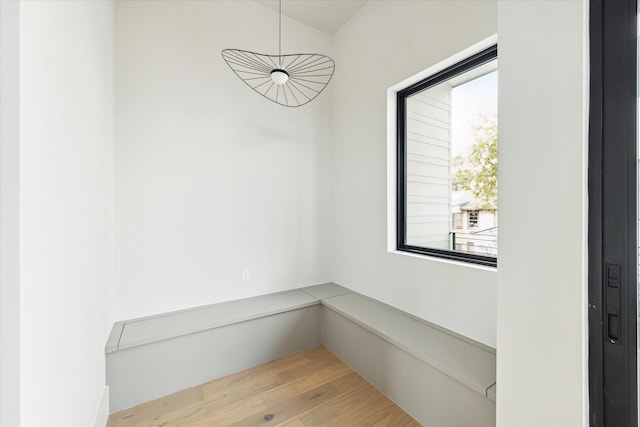 interior space with wood finished floors
