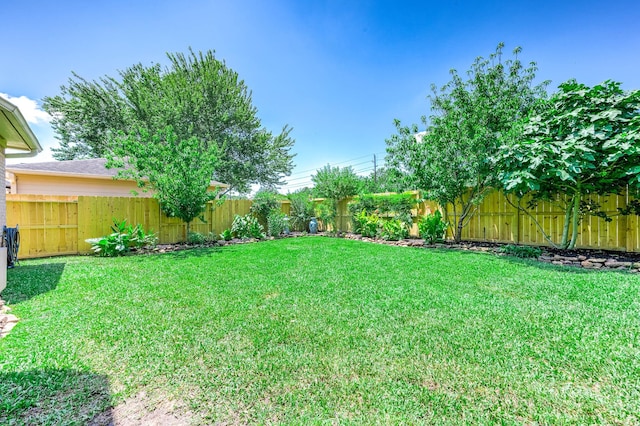 1910 Stormcroft Cir, Katy, TX 77450 - view of yard
