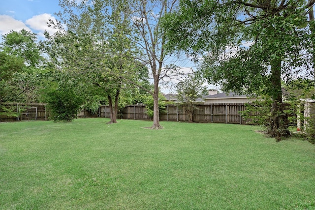 view of yard with a fenced backyard