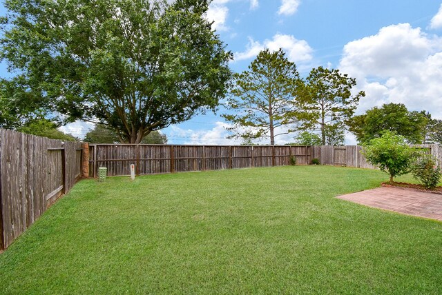 view of yard with a patio