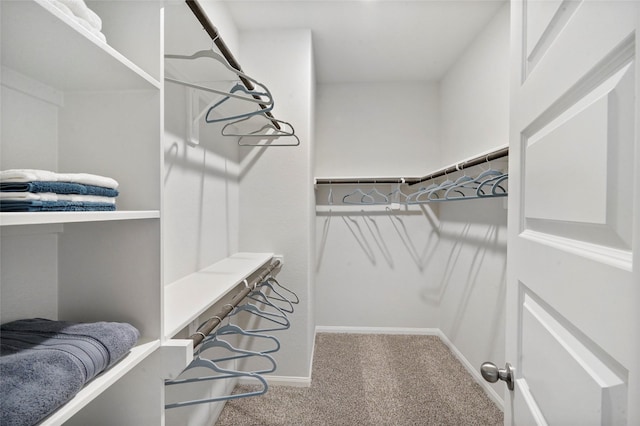 walk in closet with carpet