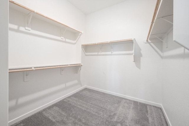 21818 Wycombe Terrace Way, Cypress, TX 77433 - spacious closet featuring carpet flooring
