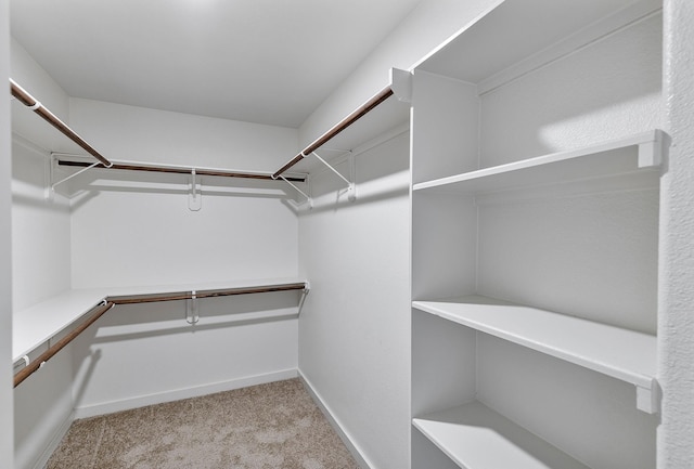 15010 Eagle Feather Ct, Houston, TX 77090 - spacious closet featuring carpet flooring