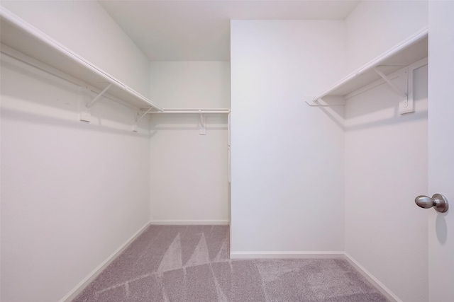 5811 Capri Forest Dr, Katy, TX 77493 - walk in closet with carpet