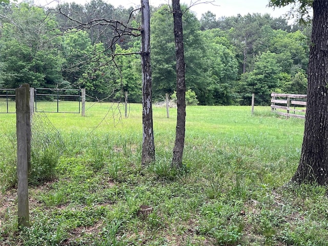 495 Taras Path, Livingston, TX 77351 - photo 7