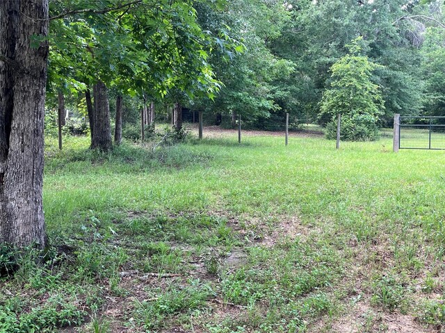 495 Taras Path, Livingston, TX 77351 - photo 9