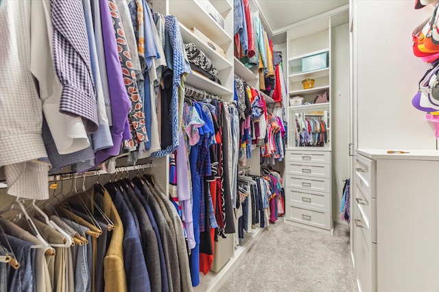 spacious closet with light colored carpet