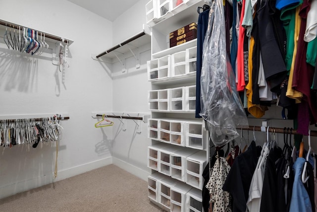 17828 Hanson Ridge Dr, Conroe, TX 77316 - walk in closet with carpet