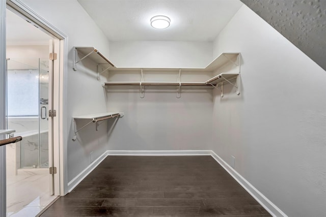 17422 Marigold Dr, Sugar Land, TX 77479 - walk in closet with dark wood-style flooring