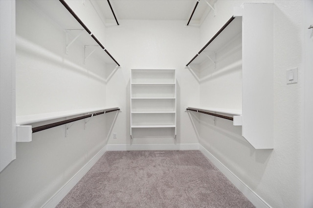 3419 Campestres, Spring Branch, TX 78070 - spacious closet with carpet flooring