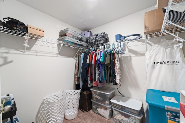 walk in closet with carpet