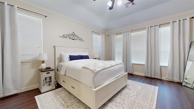 18818 Bene Vista Dr, Houston, TX 77084 - bedroom with baseboards, multiple windows, visible vents, and dark wood-style floors