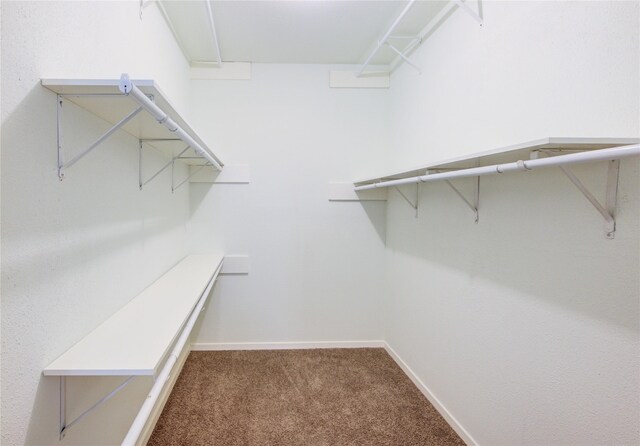 2215 Squire Dobbins Dr, Sugar Land, TX 77478 - spacious closet featuring carpet floors