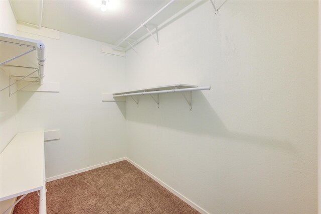 2215 Squire Dobbins Dr, Sugar Land, TX 77478 - spacious closet featuring carpet flooring