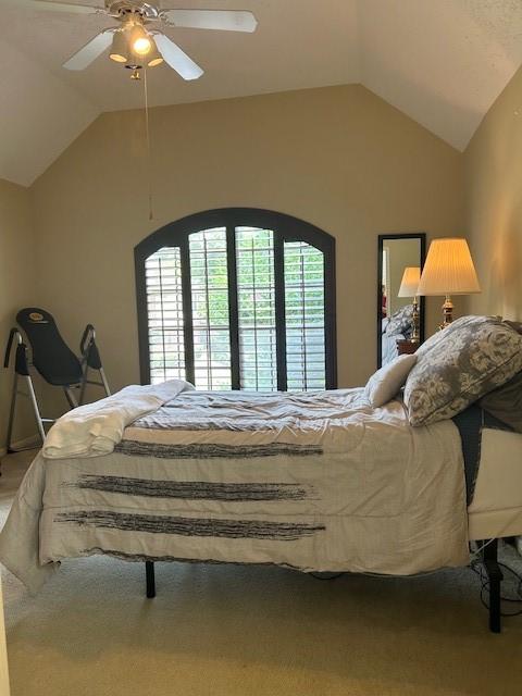 12934 Bristol Berry Dr, Cypress, TX 77429 - bedroom featuring lofted ceiling and ceiling fan