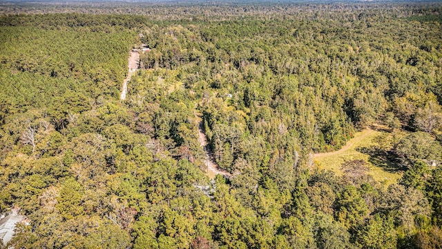 2540 Howell Rd, Corrigan, TX 75939 - birds eye view of property with a wooded view