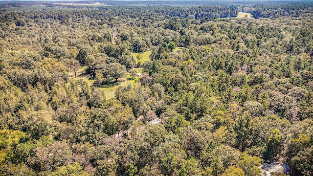 2540 Howell Rd, Corrigan, TX 75939 - bird's eye view with a view of trees
