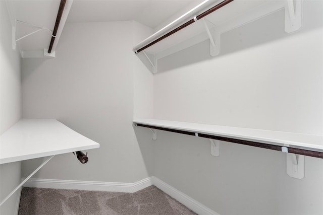 13714 Seneca Lake Dr, Texas City, TX 77568 - spacious closet featuring carpet