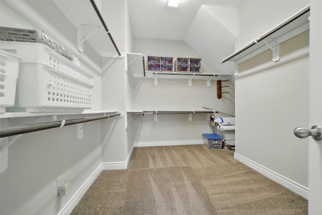 2106 Wild Peregrine Cir, Katy, TX 77494 - walk in closet with carpet floors