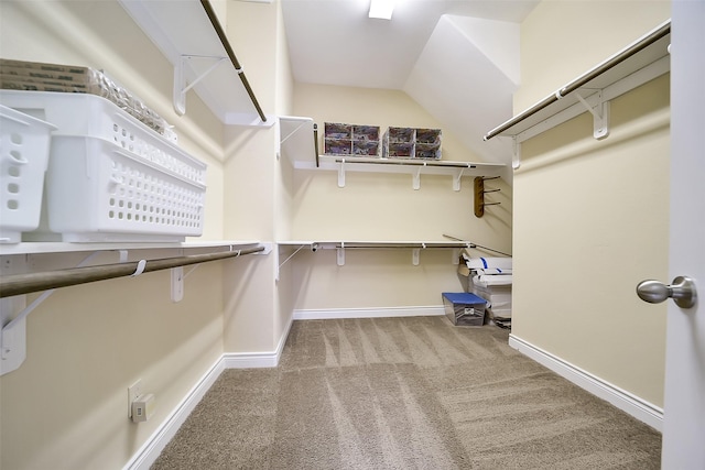 2106 Wild Peregrine Cir, Katy, TX 77494 - walk in closet with carpet
