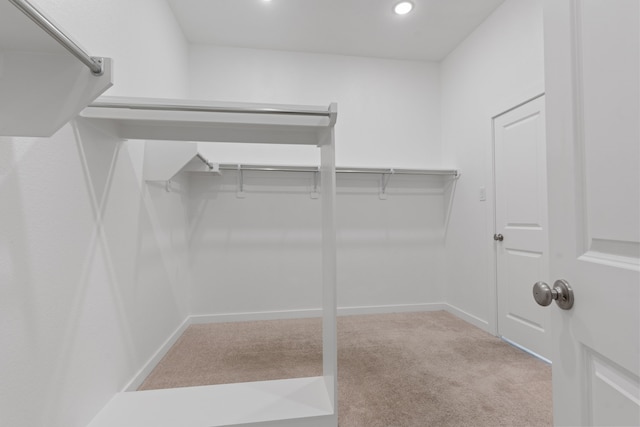 walk in closet featuring carpet flooring