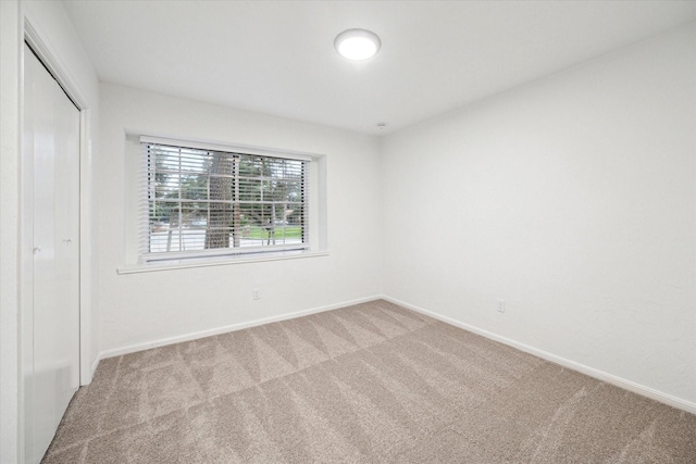 interior space featuring carpet, a closet, and baseboards